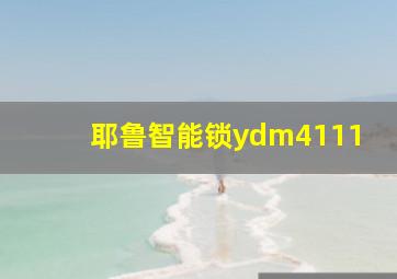 耶鲁智能锁ydm4111