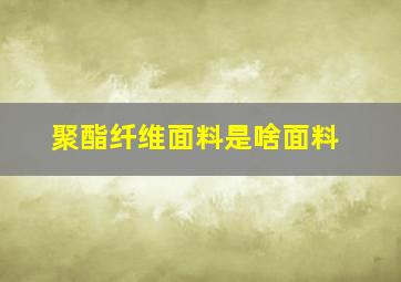 聚酯纤维面料是啥面料