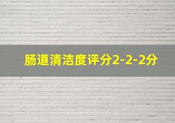 肠道清洁度评分2-2-2分