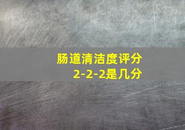 肠道清洁度评分2-2-2是几分