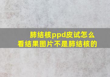 肺结核ppd皮试怎么看结果图片不是肺结核的