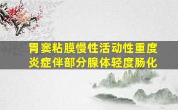 胃窦粘膜慢性活动性重度炎症伴部分腺体轻度肠化