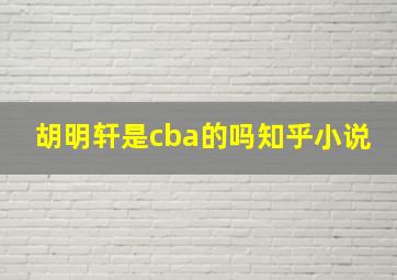 胡明轩是cba的吗知乎小说