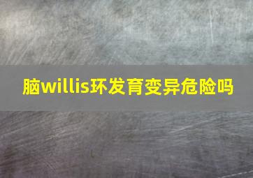 脑willis环发育变异危险吗