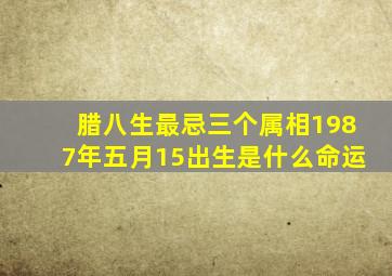 腊八生最忌三个属相1987年五月15出生是什么命运