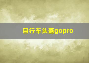 自行车头盔gopro