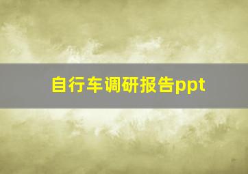 自行车调研报告ppt