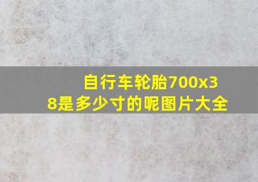 自行车轮胎700x38是多少寸的呢图片大全