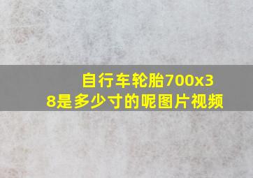 自行车轮胎700x38是多少寸的呢图片视频