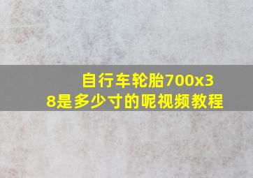 自行车轮胎700x38是多少寸的呢视频教程