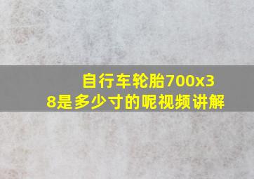 自行车轮胎700x38是多少寸的呢视频讲解