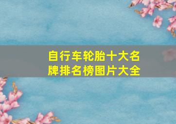 自行车轮胎十大名牌排名榜图片大全