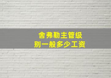 舍弗勒主管级别一般多少工资