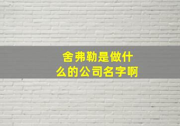 舍弗勒是做什么的公司名字啊