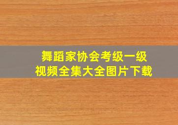 舞蹈家协会考级一级视频全集大全图片下载