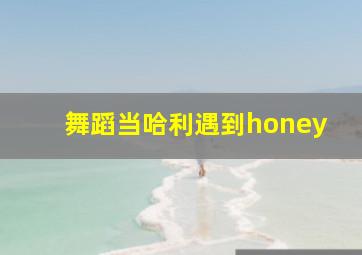 舞蹈当哈利遇到honey