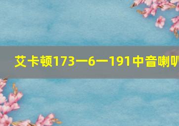 艾卡顿173一6一191中音喇叭