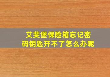 艾斐堡保险箱忘记密码钥匙开不了怎么办呢