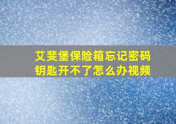 艾斐堡保险箱忘记密码钥匙开不了怎么办视频