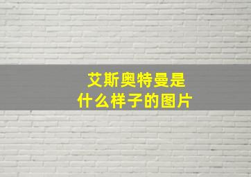 艾斯奥特曼是什么样子的图片