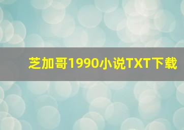 芝加哥1990小说TXT下载