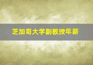 芝加哥大学副教授年薪