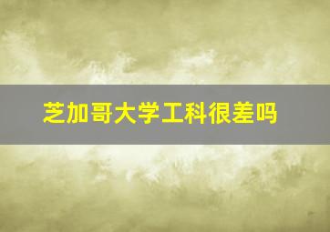 芝加哥大学工科很差吗