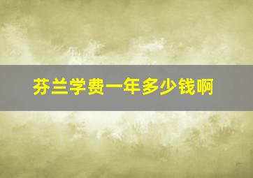 芬兰学费一年多少钱啊