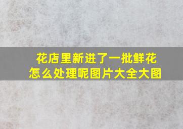 花店里新进了一批鲜花怎么处理呢图片大全大图