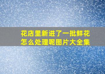 花店里新进了一批鲜花怎么处理呢图片大全集