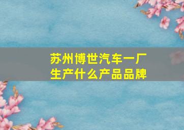 苏州博世汽车一厂生产什么产品品牌