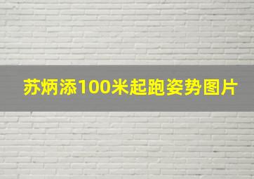 苏炳添100米起跑姿势图片