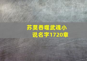 苏莫吞噬武魂小说名字1720章