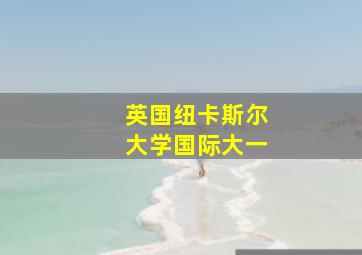 英国纽卡斯尔大学国际大一