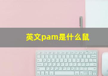 英文pam是什么鼠