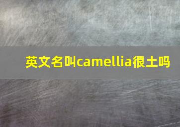 英文名叫camellia很土吗