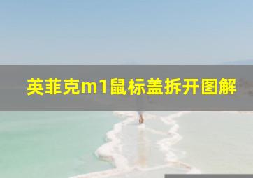 英菲克m1鼠标盖拆开图解