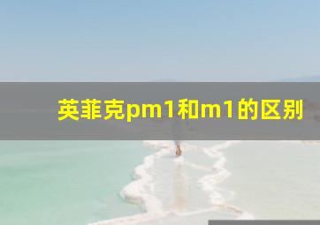 英菲克pm1和m1的区别