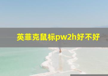 英菲克鼠标pw2h好不好