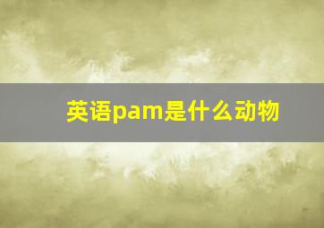 英语pam是什么动物