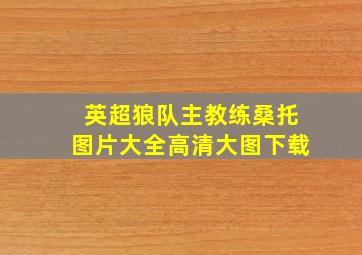 英超狼队主教练桑托图片大全高清大图下载