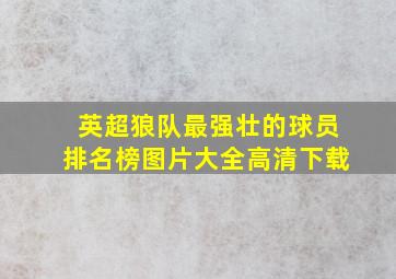 英超狼队最强壮的球员排名榜图片大全高清下载