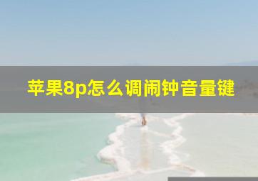 苹果8p怎么调闹钟音量键