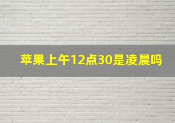 苹果上午12点30是凌晨吗