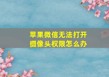 苹果微信无法打开摄像头权限怎么办