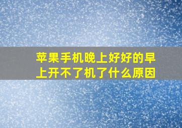 苹果手机晚上好好的早上开不了机了什么原因