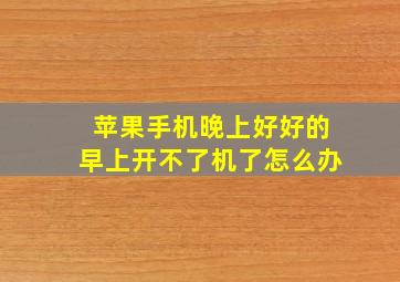 苹果手机晚上好好的早上开不了机了怎么办