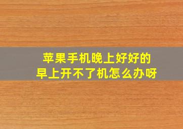 苹果手机晚上好好的早上开不了机怎么办呀