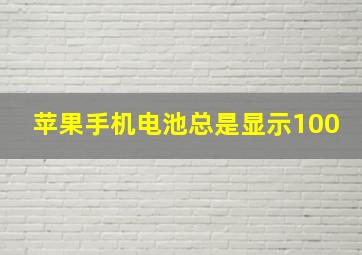 苹果手机电池总是显示100