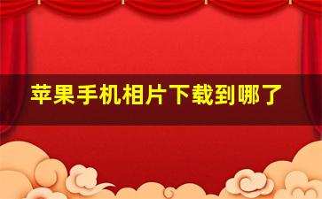 苹果手机相片下载到哪了